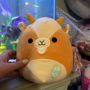 Squishmallows Grant